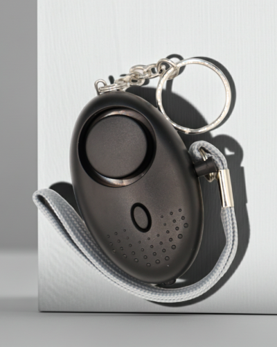 Lady Bug Keychain Alarm