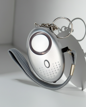 Lady Bug Keychain Alarm